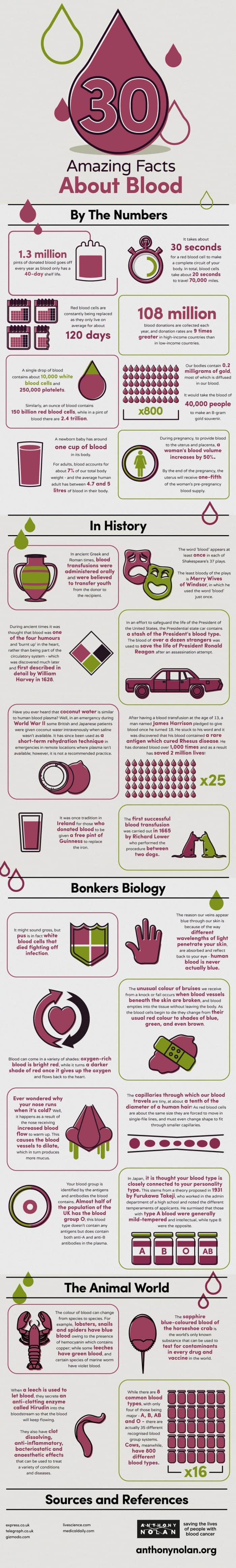 Infographic with 30 interesting facts about blood.