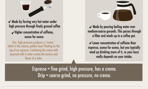 infographic with answers to basic coffee questions