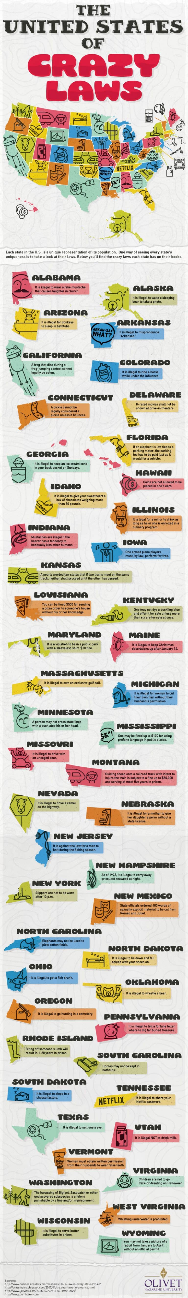 amazingly-odd-state-laws-daily-infographic