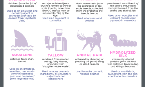 Animal Ingredients in our Beauty Products