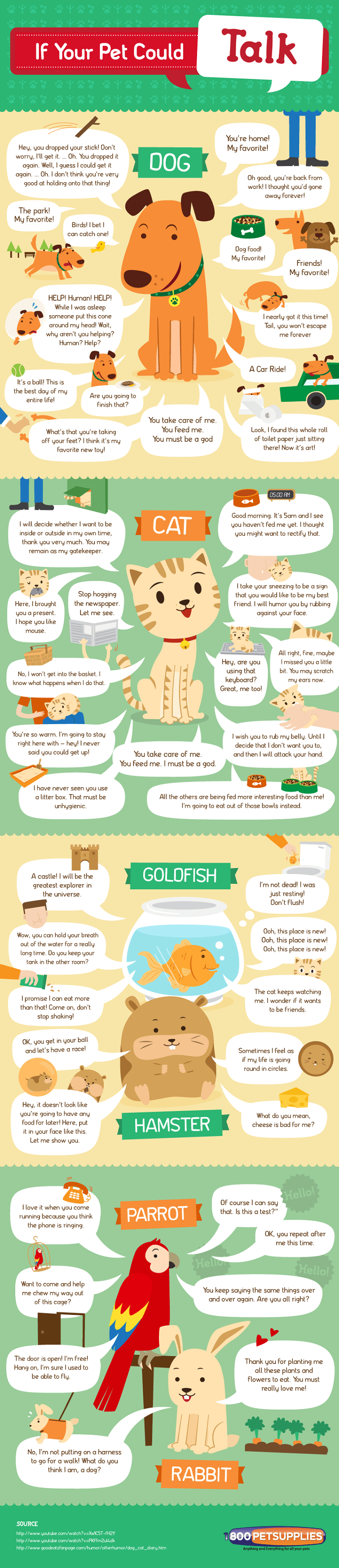 If Your Pet Could Talk | Daily Infographic