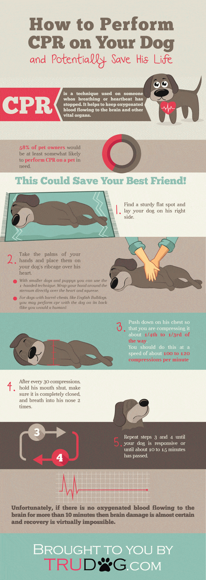 How To Perform Dog CPR