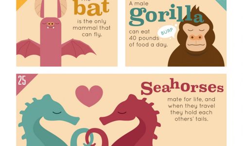 50 animal facts infographic