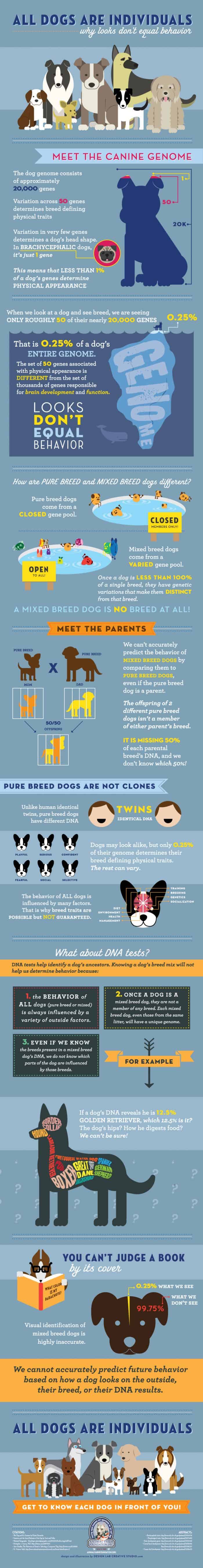 Dog breed doesn't define personality infographic