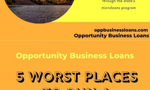 Opportunity Business Loans Infographic