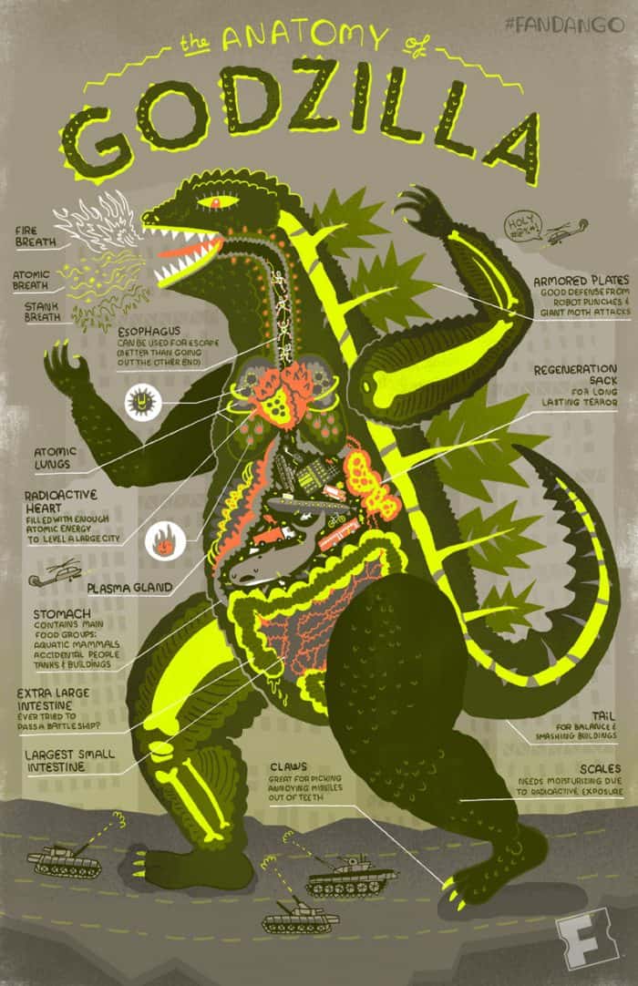 Anatomy Of Godzilla