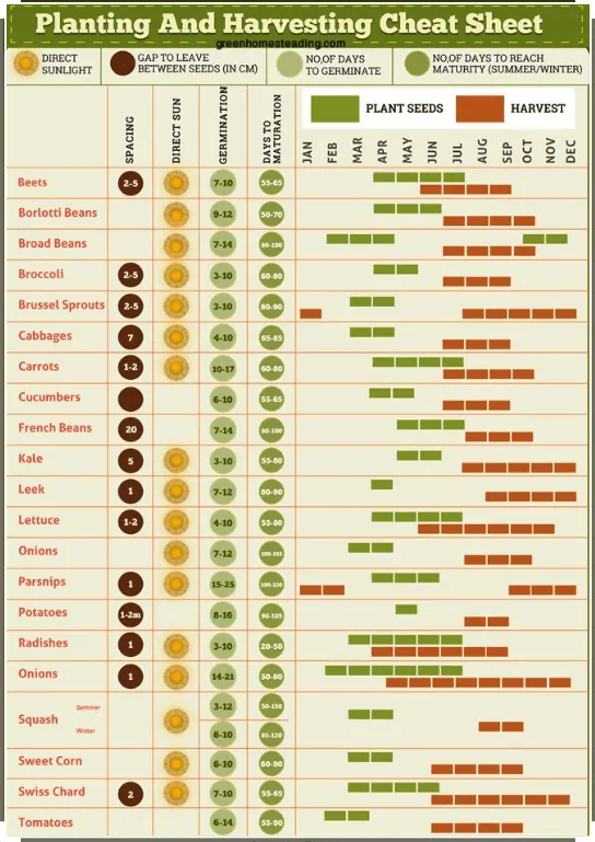 Vegetable plant and harvest cheat sheet