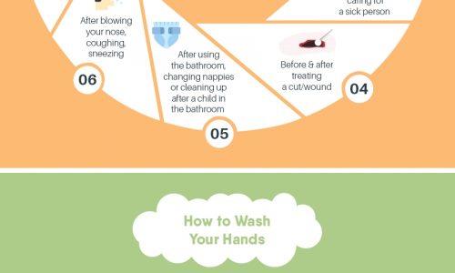 The importance and proper handwashing techniques