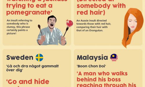 These insults from around the world need some explaining