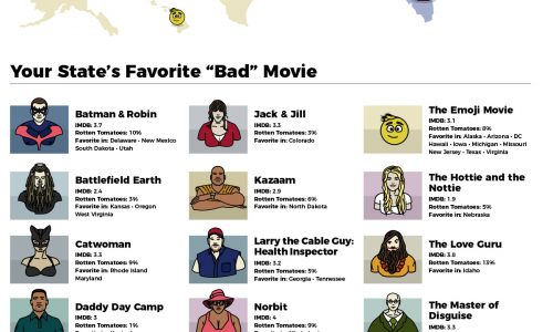 Every state's favorite bad movie