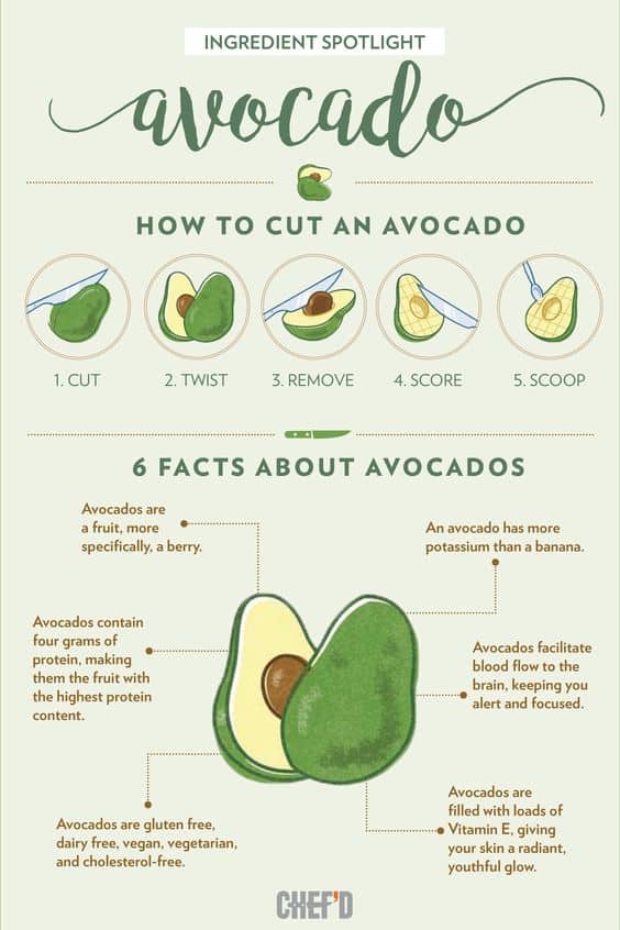 Avocado Fact Chart