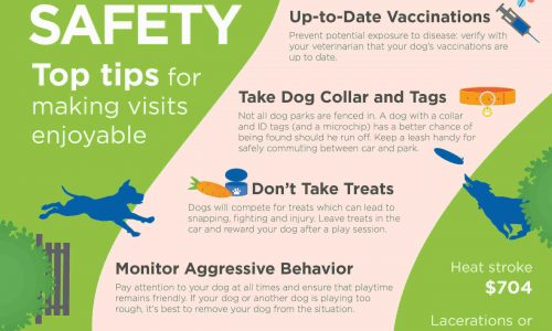 Top tips for walking your dog on the park