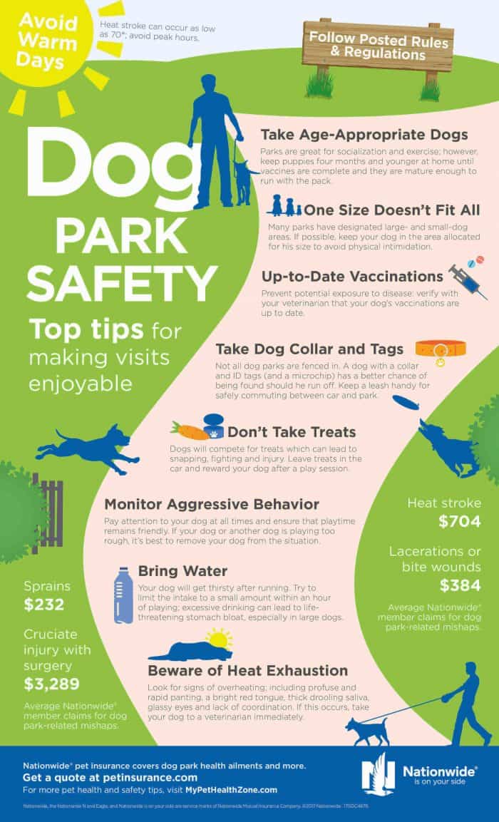 Top tips for walking your dog on the park