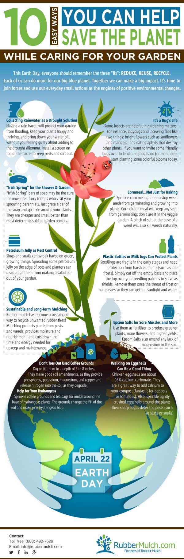how to make your garden more environmentally friendly