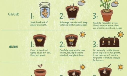 upcycle foods, chart that shows how to recycle foods