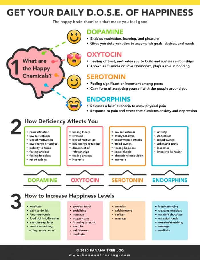 daily-dose-happiness-infographic