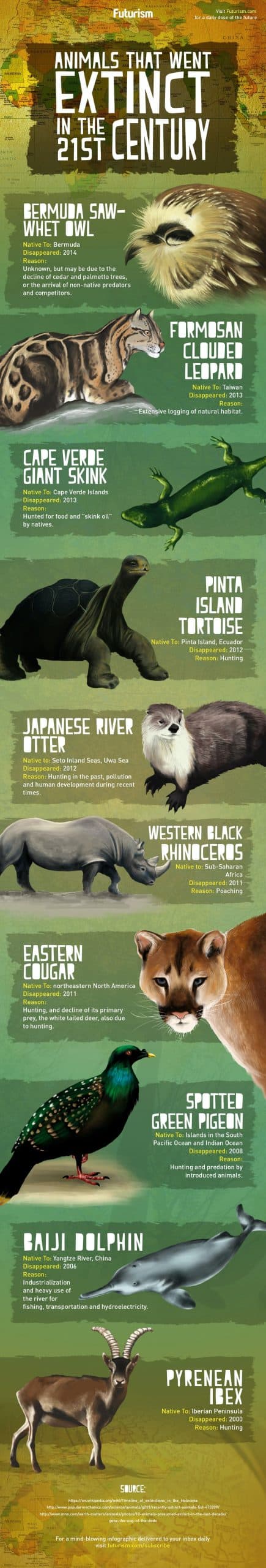 10 Animals That Disappeared In The Last 20 Years | Daily Infographic