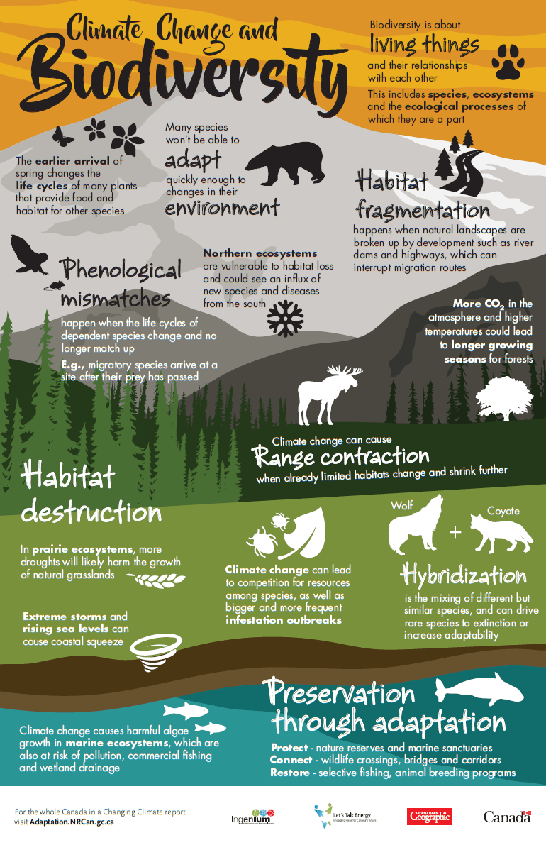 What Climate Change Means For Earth's Animals | Daily Infographic