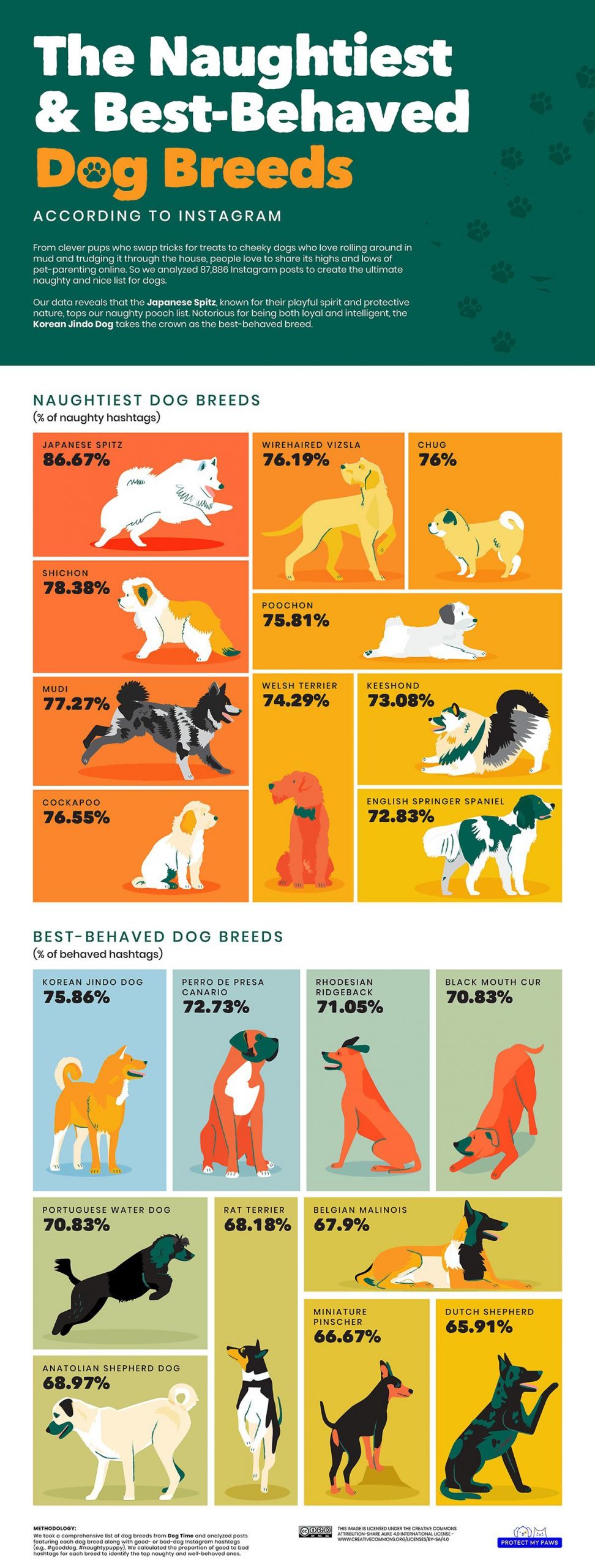 The Worst Dog Breeds According to Instagram #Naughty | Daily Infographic