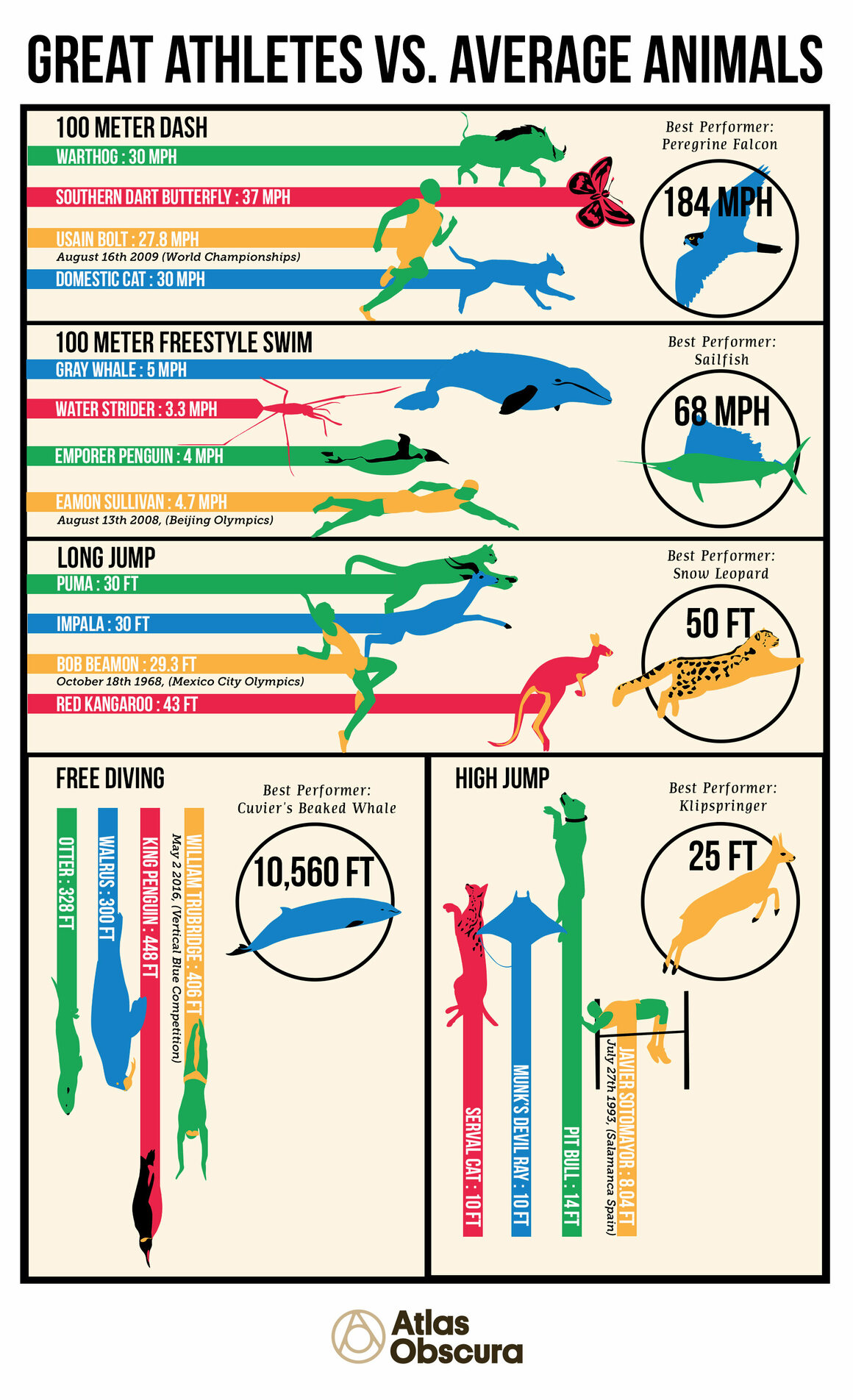 Really Fast Humans vs Average Speed Animals… Who Wins!? | Daily Infographic