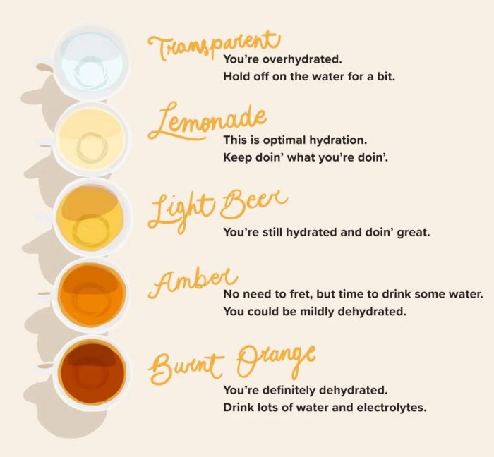 How Color of Pee Tells You If You're Hydrated