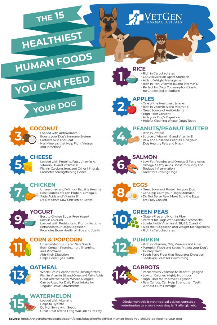 The 15 Healthiest Human Foods You Can Feed Your Dog
