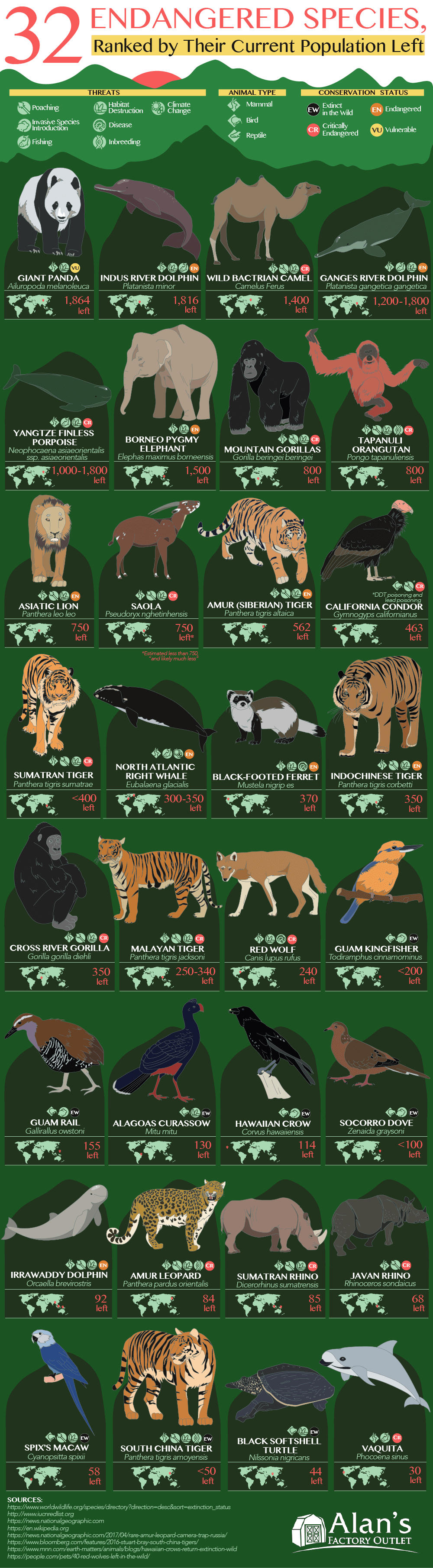World's 32 Most Endangered Animals Ranked By Number Left | Daily Infographic