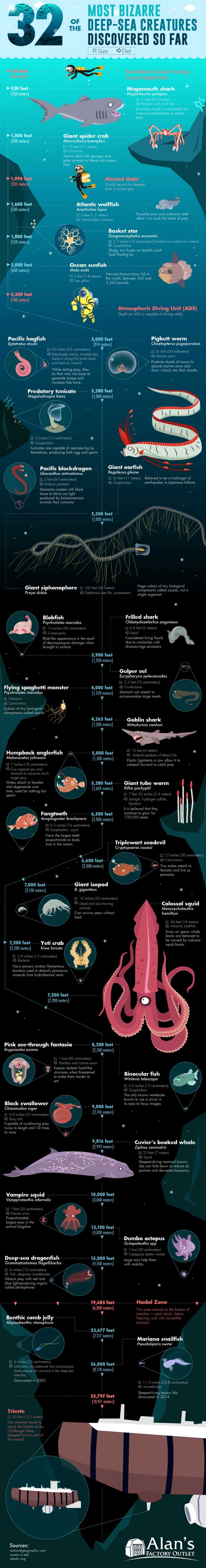 most bizarre deep-sea creatures discovered so far
