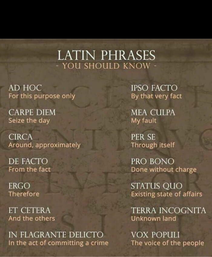 14 Common Latin Phrases That Everyone Should Know | Daily Infographic