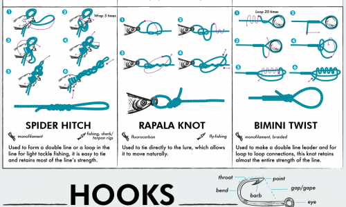 The Ultimate Guide to Fishing Knots, Hooks, Baits, and Lures