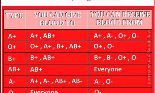 List Of Blood Groups, Who Can Give It And Who Can Receive It
