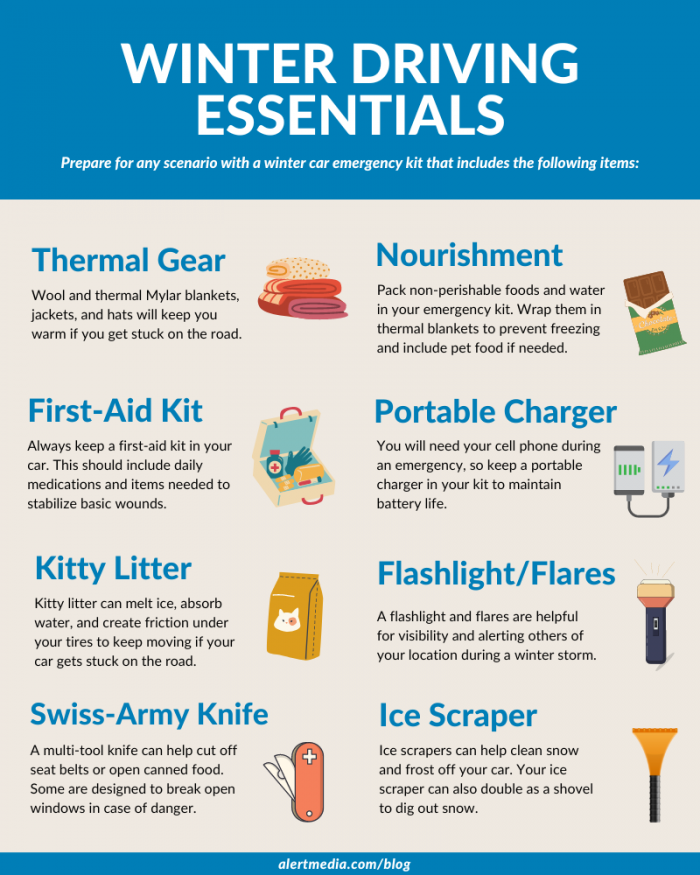 Things You Need To Survive The Winter