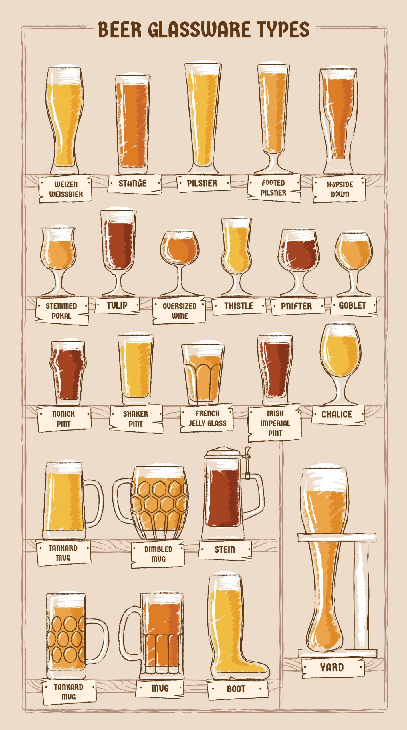 23 Beer Glass Types Everything You Need To Know Daily Infographic