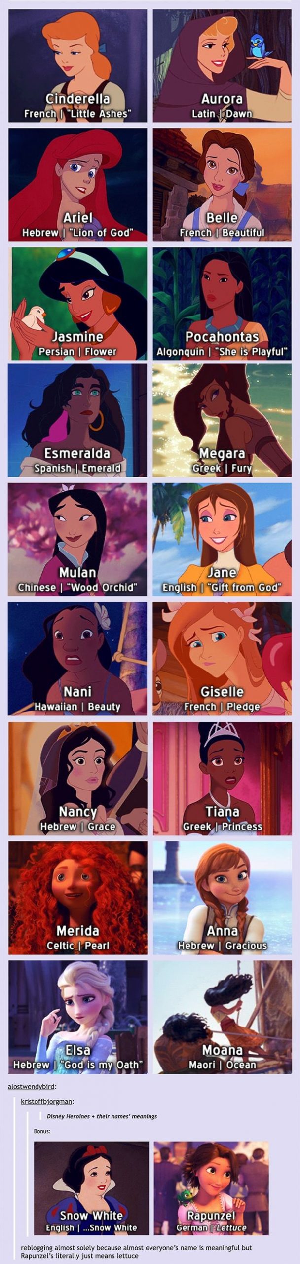 The Hidden Meanings Behind Disney Princess Names | Daily Infographic