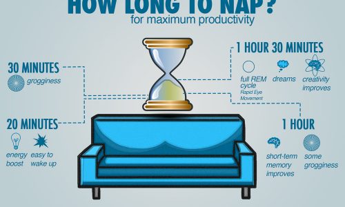how long to nap for maximum productivity