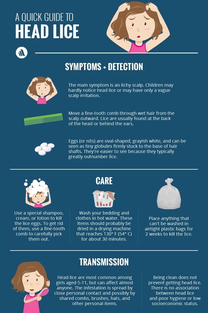 A Short Guide to Head Lice | Daily Infographic