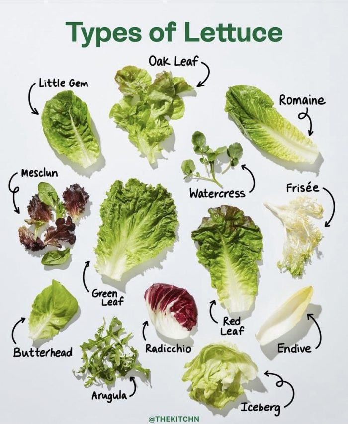 Types of Lettuce