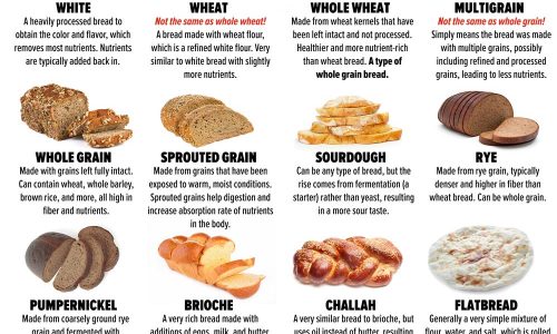 Different Types Of Bread