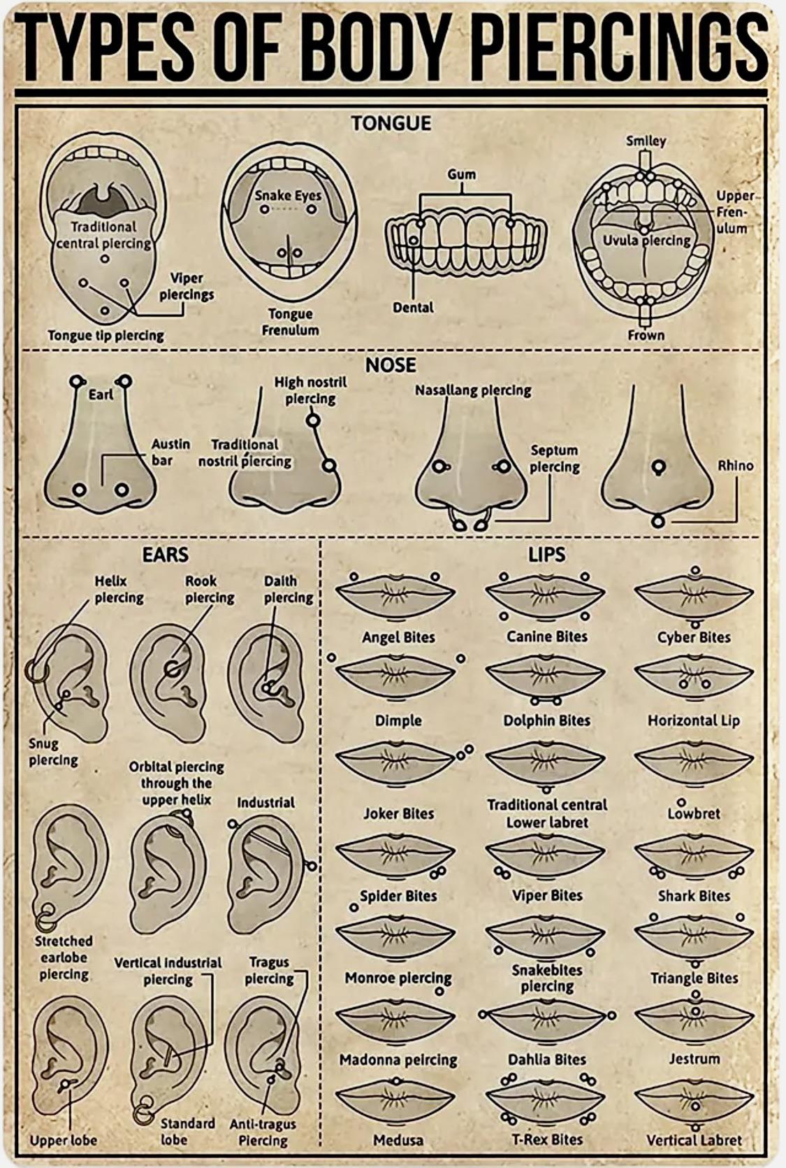 A Guide to the Different Types of Body Piercings