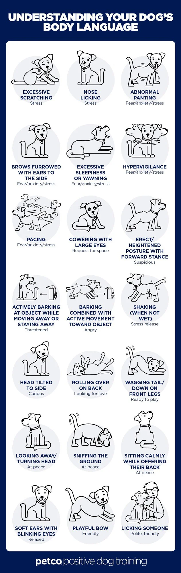 understanding your dogs body language