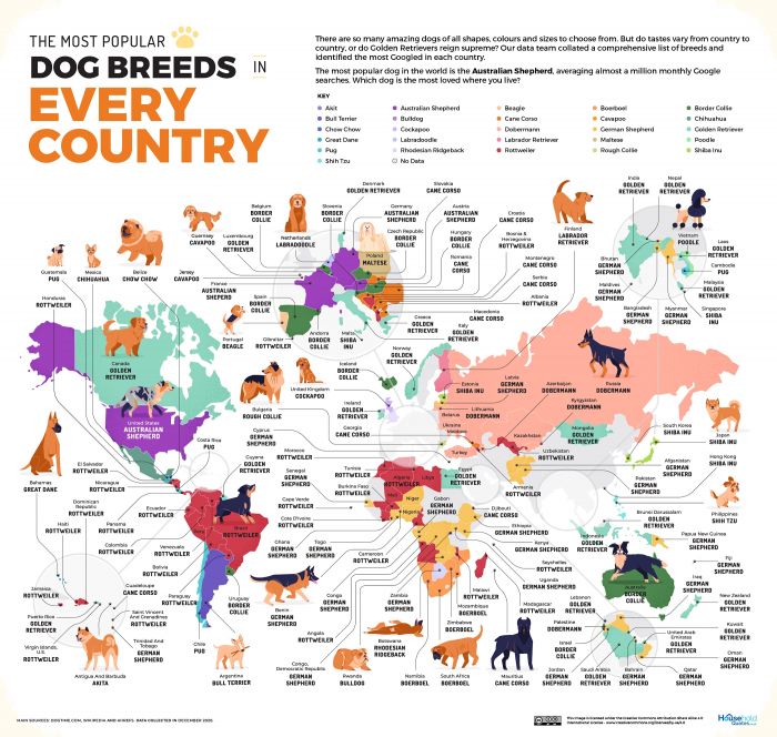 Most Popular Dog Breeds by Country