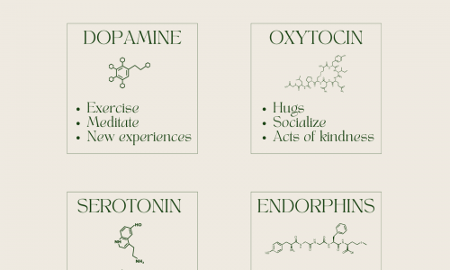 Four Types Of Happiness Chemicals