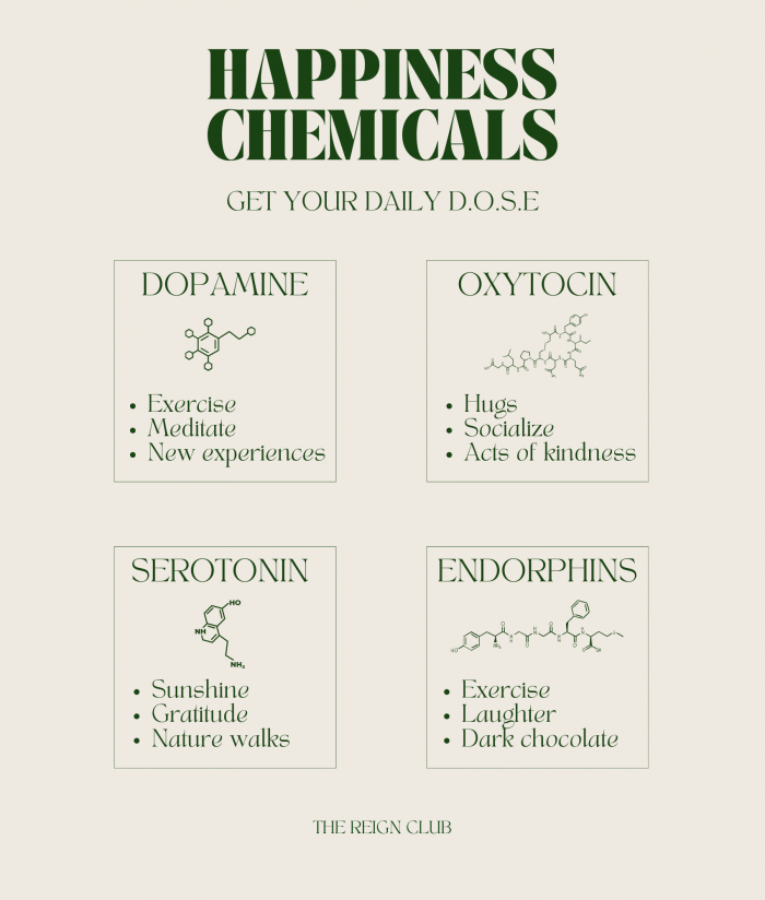 Four Types Of Happiness Chemicals