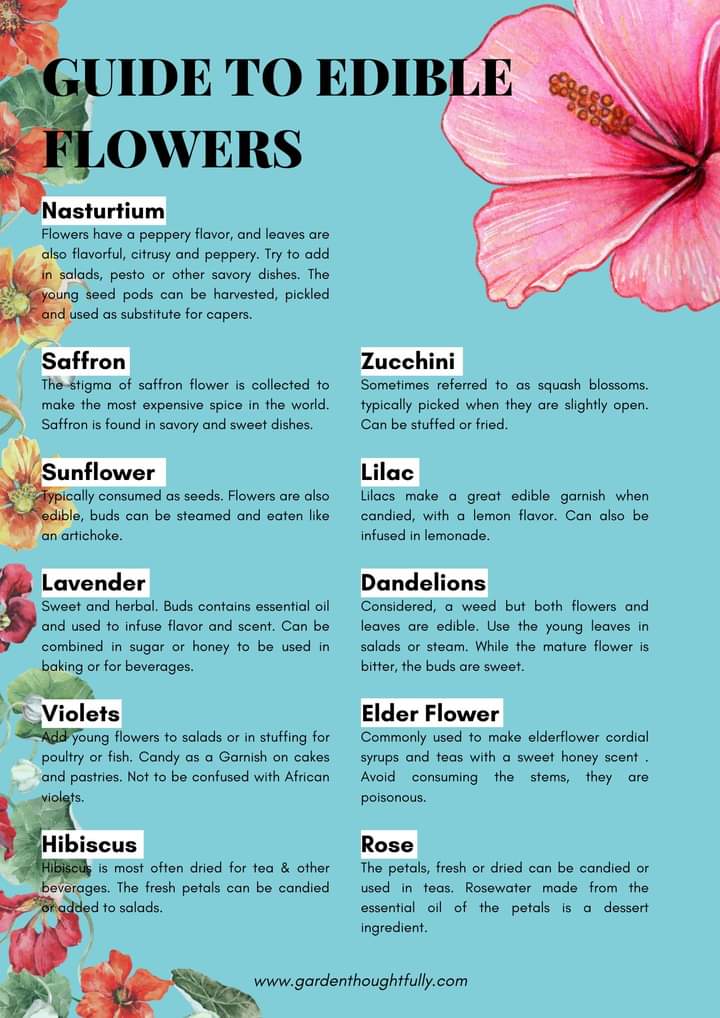 Edible Flowers List, Flowers You Can Eat