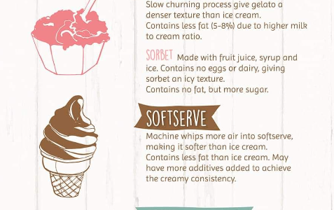 Different Ice Cream Types