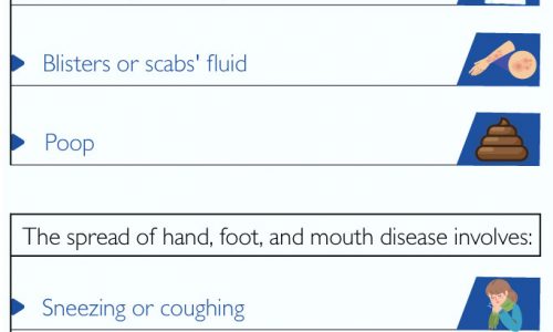 Transmission of Hand, Foot, and Mouth Disease