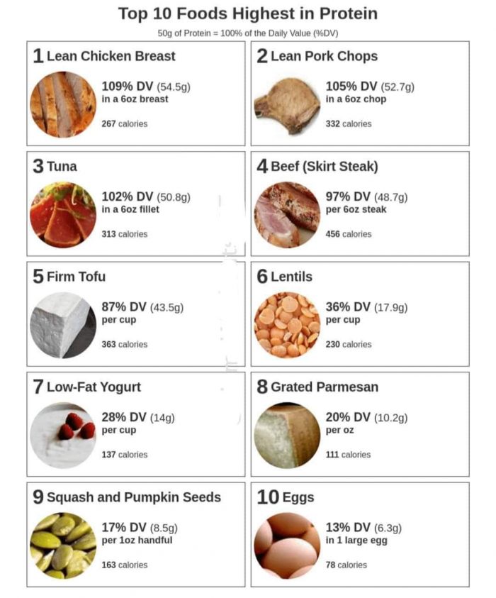 foods highest in protein