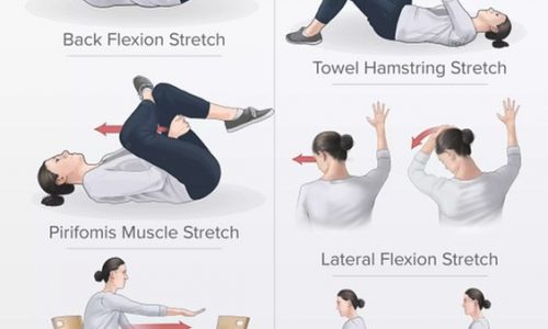 stretches for Back Pain Relief