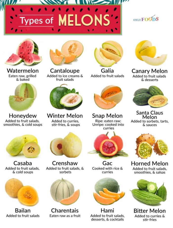 Types of Melons