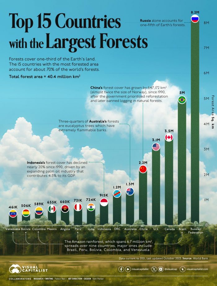 largest forest in the world